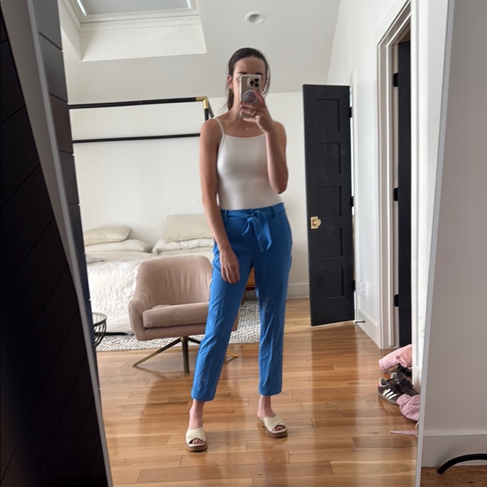 LOFT Devin Blue slim Pants